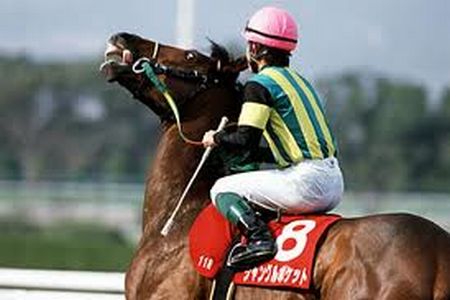 種牡馬 ジャングルポケット 競馬予想データベース